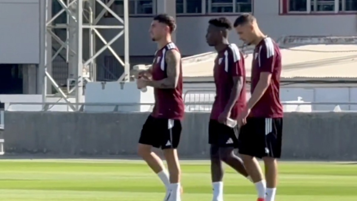 Stassin y Correia ya entrenan a las órdenes de Luis García Plaza